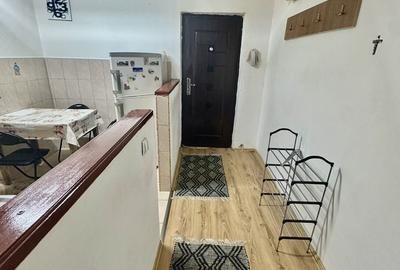 Apartament cu 2 camere semidecomandat în Micălaca - 4
