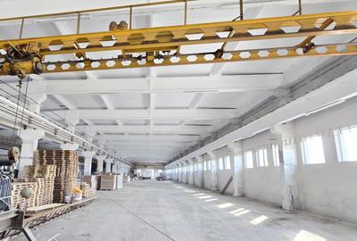 Spațiu industrial, în Centura Sud - 1