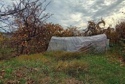 Teren intravilan com. Maracineni, jud. Arges - 2