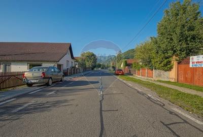Liniste, aer curat si pamant bun - 7255 mp in Vama Buzaului - 3