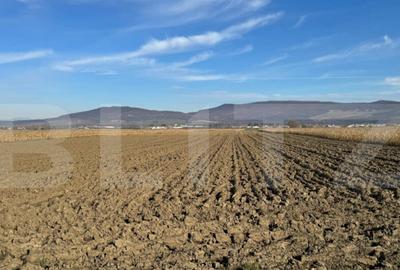 Vand 53 de ari de teren intravilan in Arcalia - 7