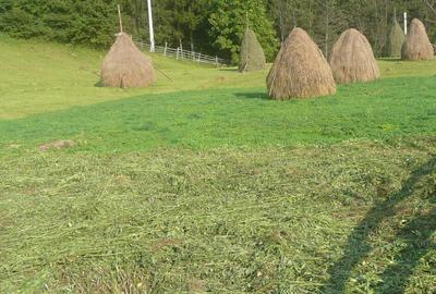 Teren de 11000 mp, în Valea Doftanei - 4