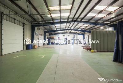 Spațiu comercial, de 1,250 mp, în Micălaca - 8