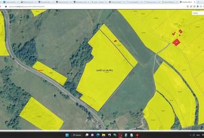 Teren agricol 4.2 ha Nades-Mures 2 euro mp - 3