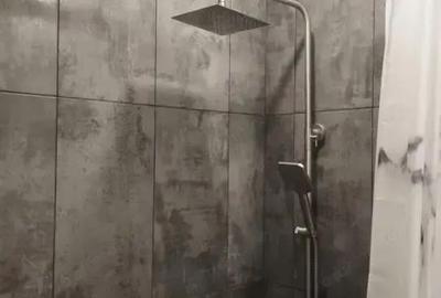 Se inchiriaza garsoniera in zona Aurel Vlaicu - 4