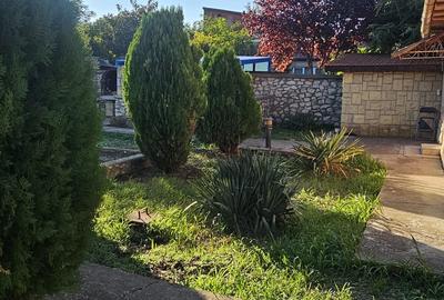 Propietate  km 4/5 .  1000 mp , din care 250 mp construcții - 7