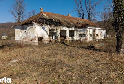 Casă cu 8 camere cu Teren 7235 Mp în Traian Vuia - 8