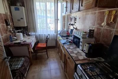 Cartier Sasar ap. 2 camere, semidecomandat, cu balcon - 4