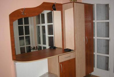 Apartament cu 3 camere decomandat în Gruia - 5