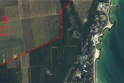 TEREN EXTRAVILAN,PADUREA COMOROVA,NEPTUN - 3