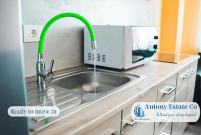 Apartament cu 2 camere decomandat în Iosia - 9