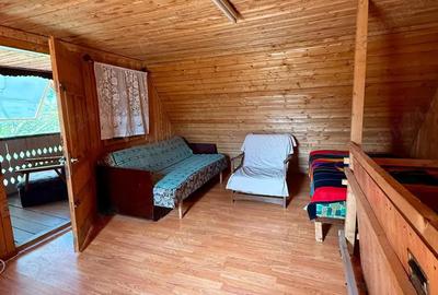 Cabana la Dunare, Liubcova, nr 475A, Caras-Severin - 5