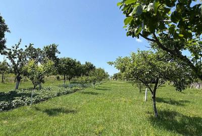 Casă cu 4 camere cu Teren 676 Mp în Moldovița - 2