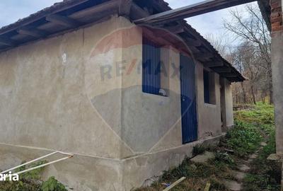 Casă cu 3 camere cu Teren 2500 Mp în Central - 9