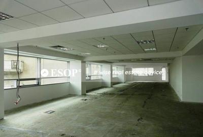 Spațiu comercial, de 615 mp, în Victoriei