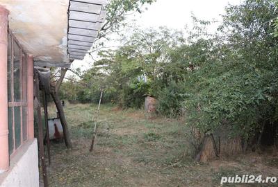 Casă cu 5 camere cu Teren 1367 Mp în Frasinu - 4