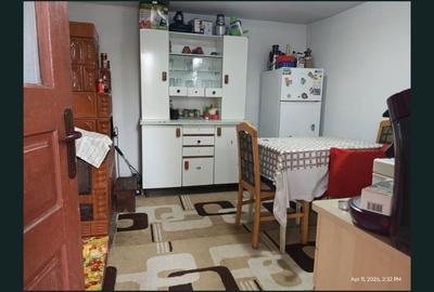 Casă cu 3 camere cu Teren 4800 Mp în Drăguțești - 8