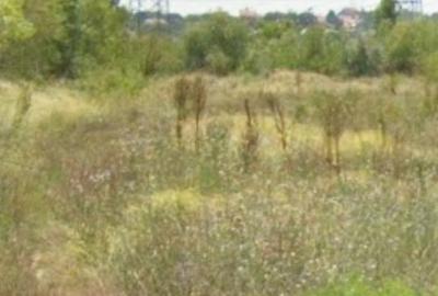 Teren de 2400 mp, în Manolache