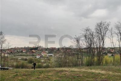 Teren de 2900 mp, în Paleu - 7