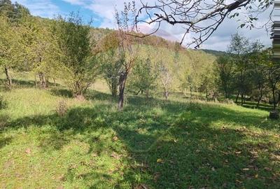 OCAZIE!!! CASA SUPERBA cu teren in JULITA jud Arad in M tii Zarandului - 43