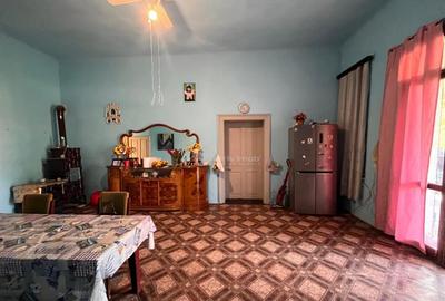 Sacu, Casa 426 Mp. Construiti, 6.500 Mp. Teren Sacu, Casa 426 Mp. Construiti, 6.500 Mp. Teren - 3