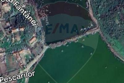 Teren la lac 2 loturi Calarasi, Cascioarele - 4