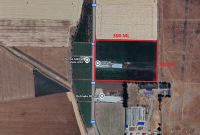 Teren intravilan 7ha, deschidere 234m la drum judetean, Mihail Kogalniceanu - 2