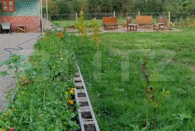 CASA IN VAMA BUZAULUI, 800 MP PRET 159900EURO, gata de mutat. - 11