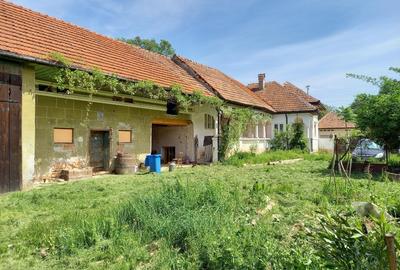 Casă individuală cu 3 camere cu Teren 4552 Mp în Voivodeni - 2
