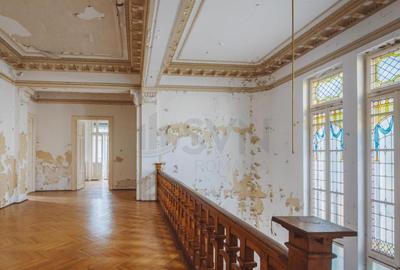 Vila deosebita Lascar Catargiu gradina mare Vila deosebita Lascar Catargiu gradina mare - 18