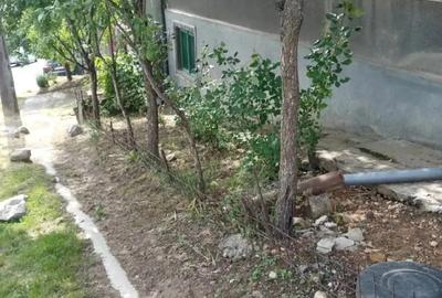 Casă cu 4 camere cu Teren 700 Mp în Triaj - 2