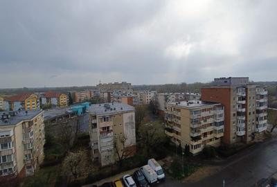 Apartament cu 2 camere decomandat, mobilat în Micălaca - 12