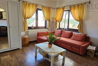 Casa cu curte Schei
