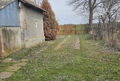 Casă cu 3 camere în Giurgița - 1