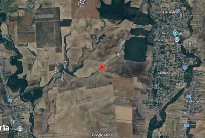 Spațiu comercial, în Ciobani - 1