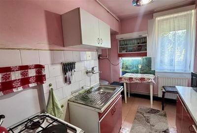 3D&FILM!Decomandat,armonios,balcon generos,invecinat cu UMFST/Spitalul Clinic Ta - 2