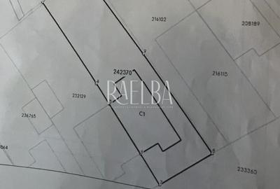 Casă individuală cu 4 camere cu Teren 350 Mp în Colentina - 14