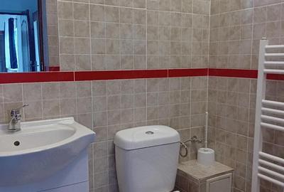 Apartament cu 2 camere decomandat în Amara - 4