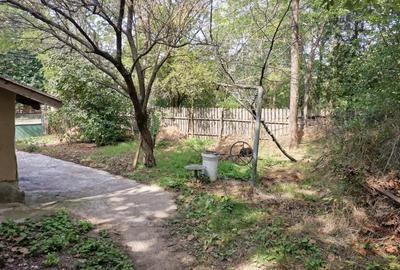 Casă cu 3 camere cu Teren 1400 Mp în Mihai Viteazu - 10