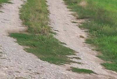 TEREN 10000 M Autostrada Buc-Pitesti - 5