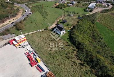 Teren de 2500 mp, în Viișoara - 2