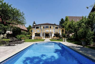 VILA IMPRESIONANTA/LUX/CURTE/GRADINA/PISCINA/GARAJ/IANCU NICOLAE - 1