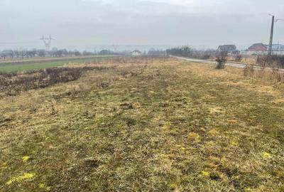 Teren de 4300 mp, în Cuzdrioara - 2