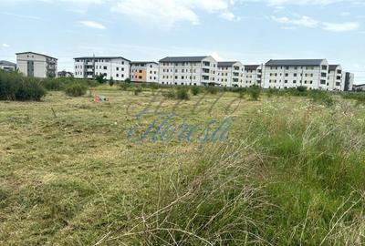 Oportunitate unica de investitie – Teren Intravilan 64.600 mp, Giroc, Timisoara - 6