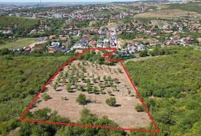 Teren de 14000 mp, în Central - 5