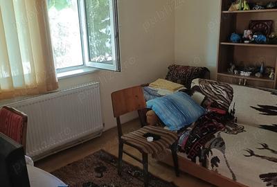 Vand casa zona Plantelor - 2