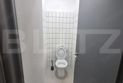 Inchiriere sediu bancar, 284 mp, zona ultracentrala - 17