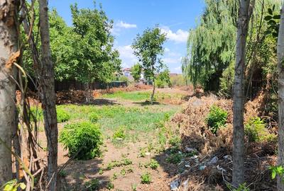 Magurele-Piscina Magurele,doar 1km primarie,parc,stadion! Magurele-Piscina Magurele,doar 1km primarie,parc,stadion! - 4