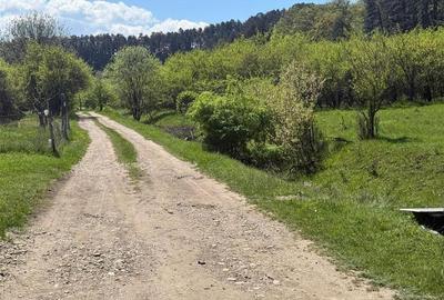 Teren Construcții intravilan de 2717 mp, în Hărman