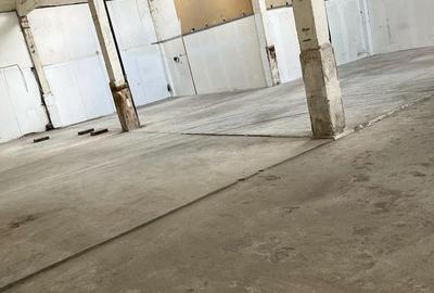 Spațiu comercial, de 380 mp, în Morarilor - 2